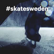 National Swedish Championships 2017